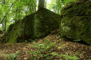 Szczytowa część wzniesienia z wychodniami piaskowc&oacute;w dolnotriasowych.