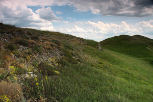 Wierzchołek i zbocza wzniesienia z roślinnością o charakterze stepowym (kwietna murawa kserotermiczna) z udziałem miłka wiosennego adonis vernalis l., pszeńca r&oacute;żowego melampyrum arvense l.  I  ożanki właściwej teucrium chamaedrys l.