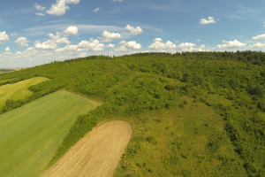 Widok og&oacute;lny rezerwatu